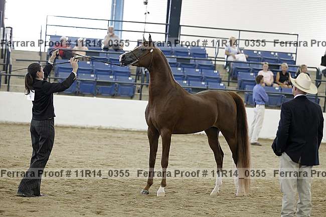Proof 11r14_0355