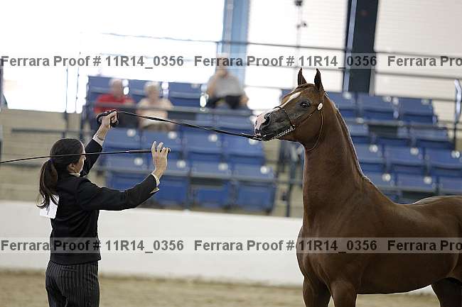 Proof 11r14_0356
