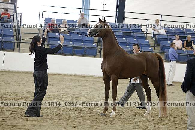 Proof 11r14_0357