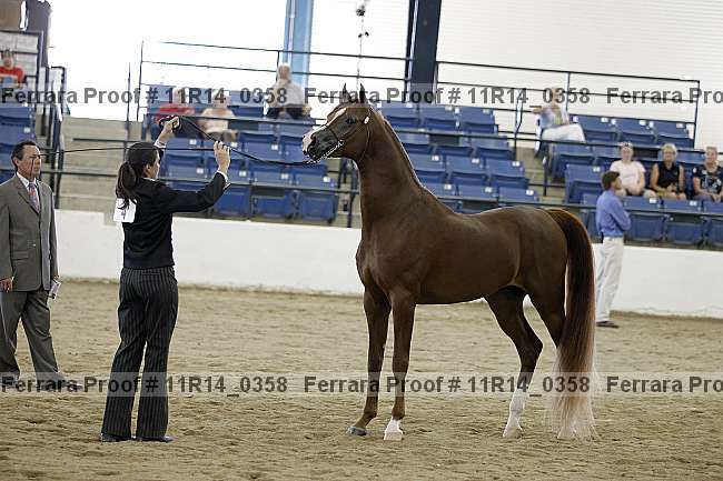 Proof 11r14_0358