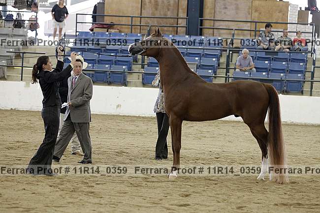 Proof 11r14_0359