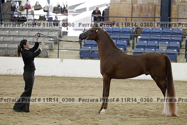 Proof 11r14_0360