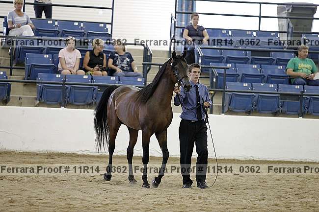 Proof 11r14_0362