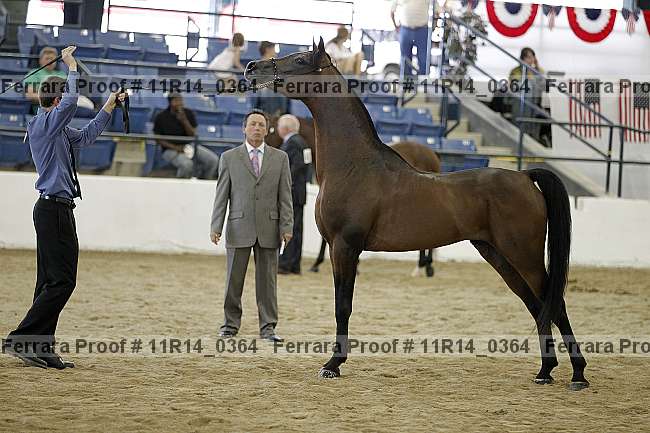 Proof 11r14_0364