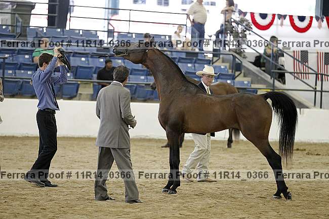 Proof 11r14_0366