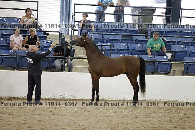 Proof 11r14_0367