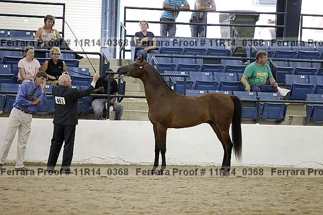 Proof 11r14_0368