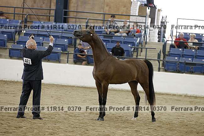 Proof 11r14_0370