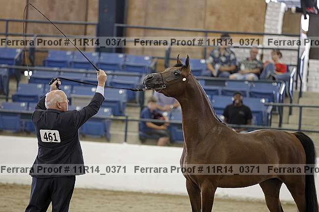 Proof 11r14_0371