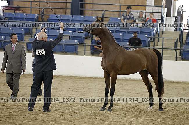 Proof 11r14_0372