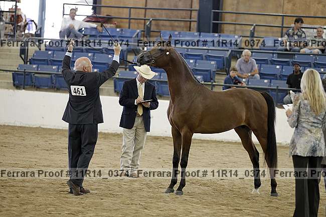 Proof 11r14_0374