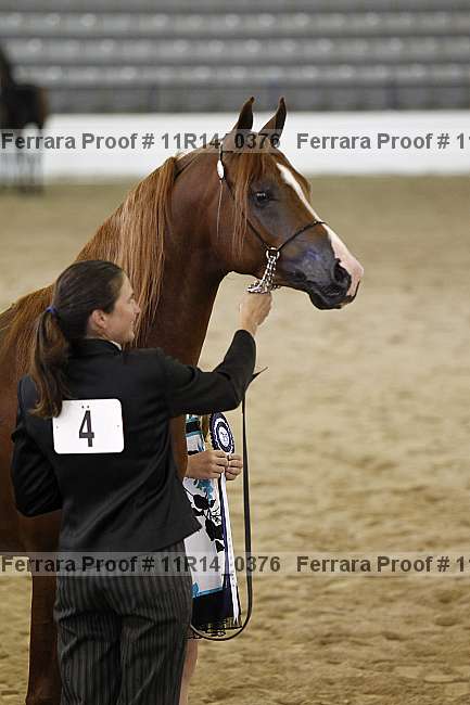 Proof 11r14_0376