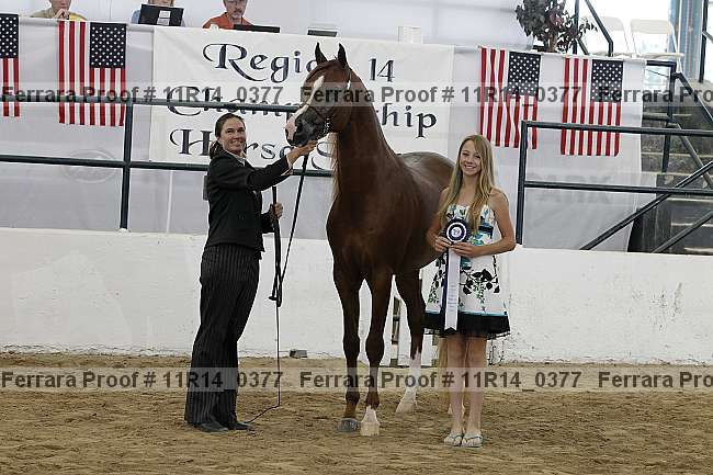 Proof 11r14_0377