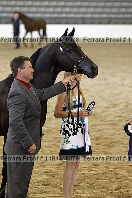 Proof 11r14_0378