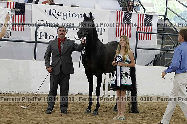 Proof 11r14_0380