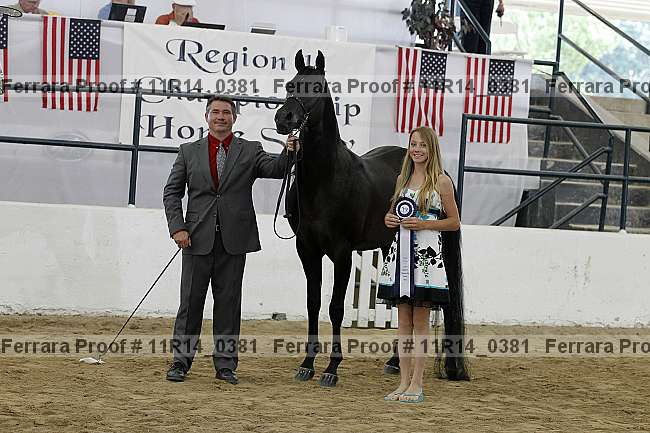 Proof 11r14_0381