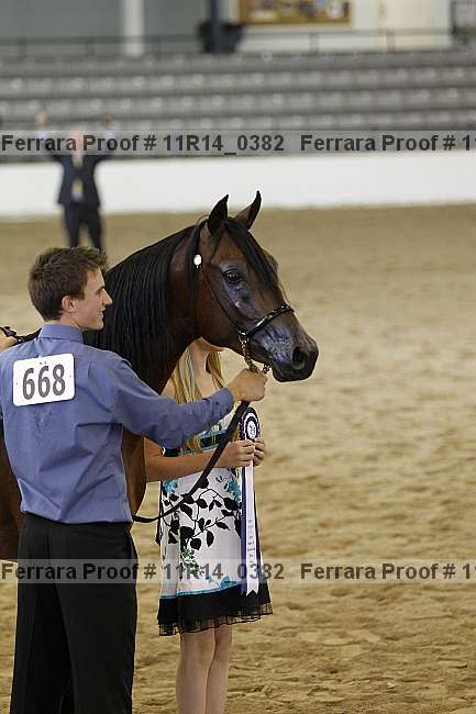Proof 11r14_0382