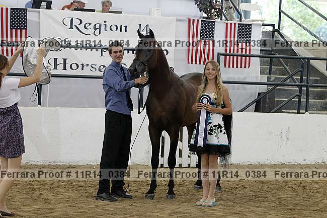 Proof 11r14_0384