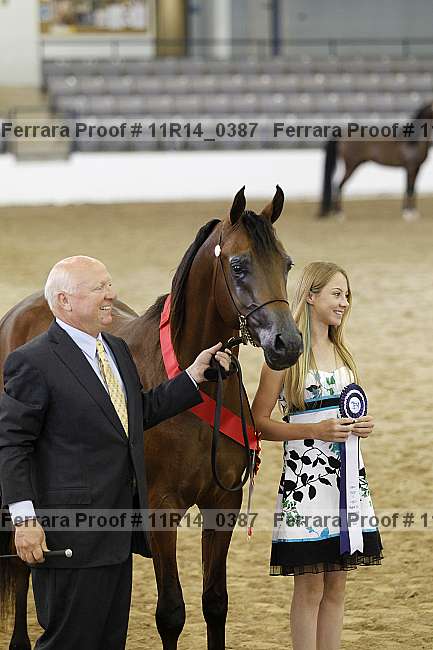 Proof 11r14_0387