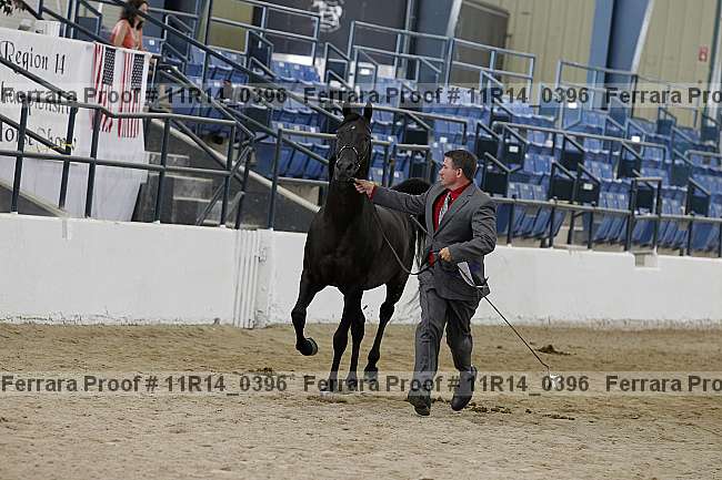 Proof 11r14_0396