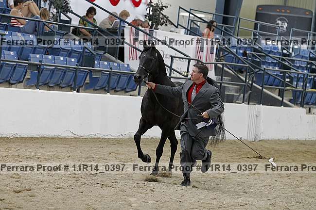Proof 11r14_0397