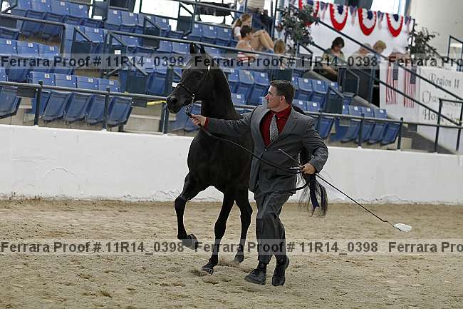 Proof 11r14_0398