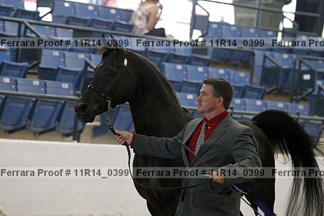Proof 11r14_0399