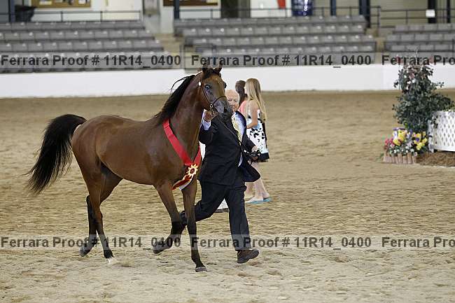 Proof 11r14_0400