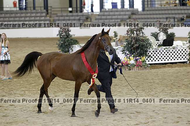 Proof 11r14_0401