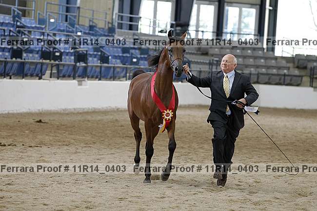 Proof 11r14_0403