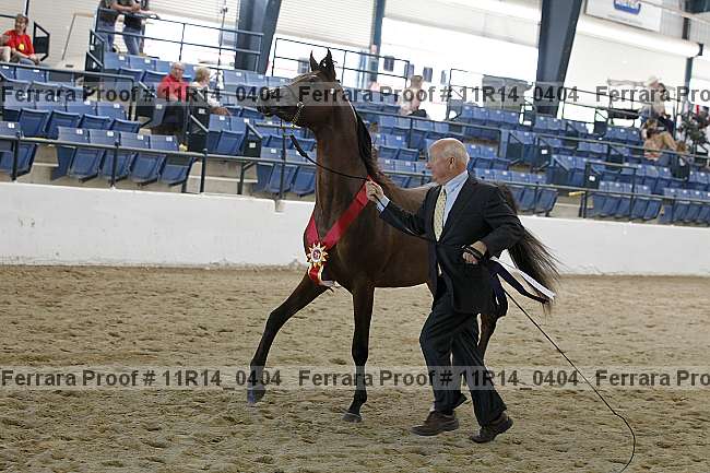 Proof 11r14_0404