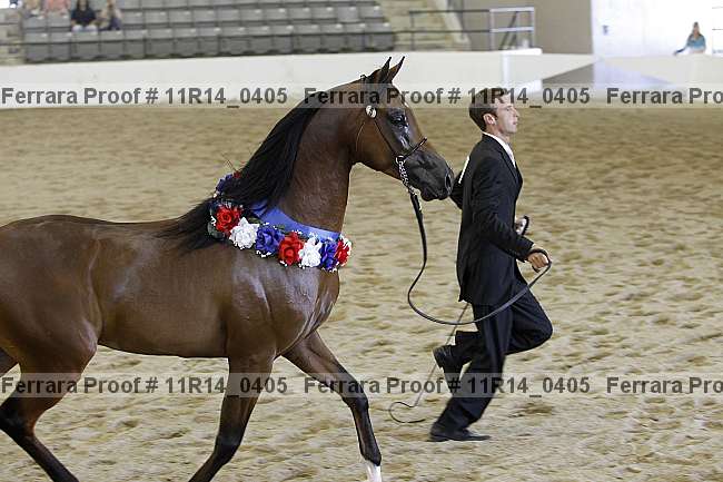 Proof 11r14_0405