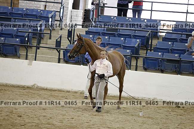 Proof 11r14_0465
