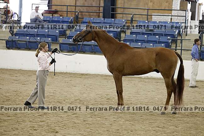 Proof 11r14_0471