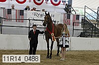 11r14_0488 proof
