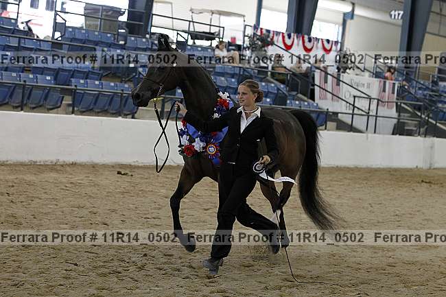Proof 11r14_0502