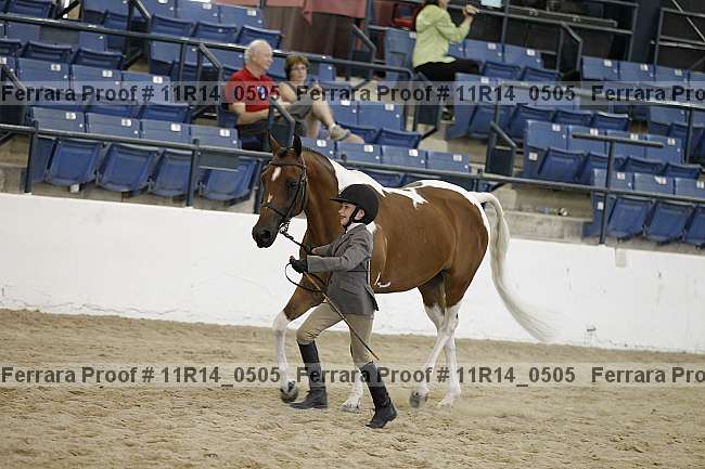 Proof 11r14_0505