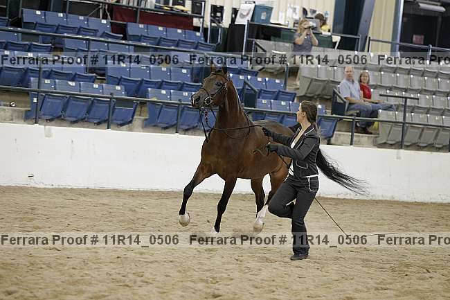 Proof 11r14_0506