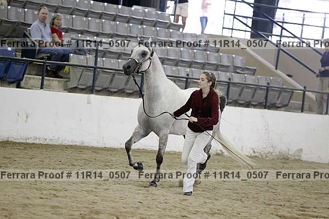 Proof 11r14_0507