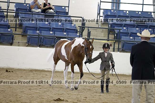 Proof 11r14_0509
