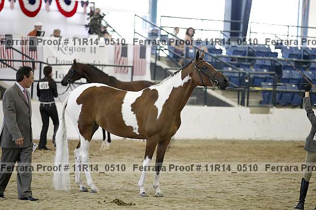 Proof 11r14_0510