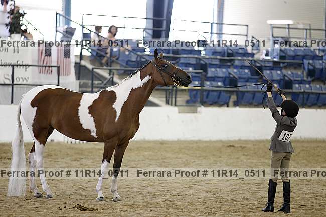 Proof 11r14_0511
