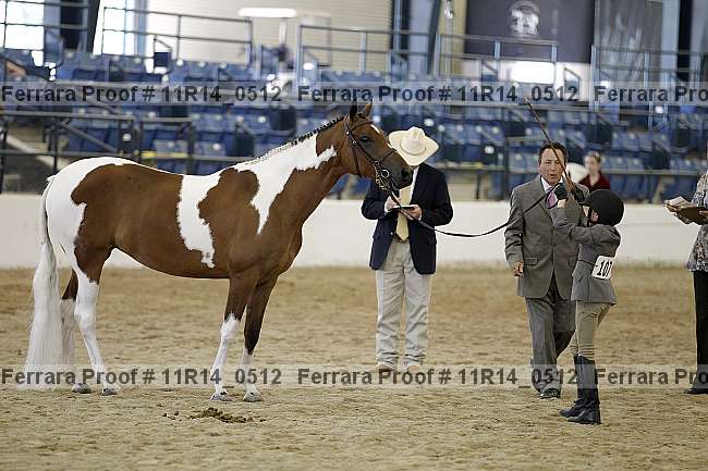 Proof 11r14_0512