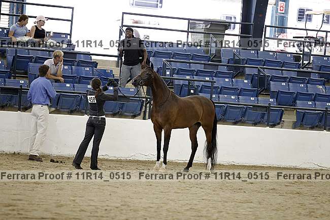 Proof 11r14_0515