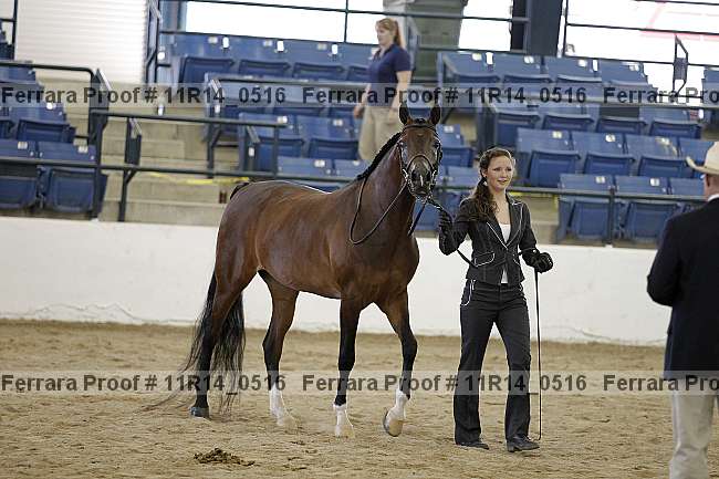 Proof 11r14_0516