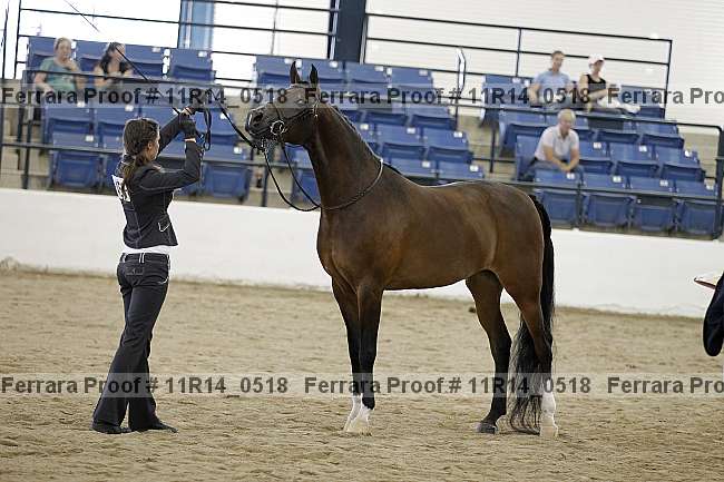 Proof 11r14_0518