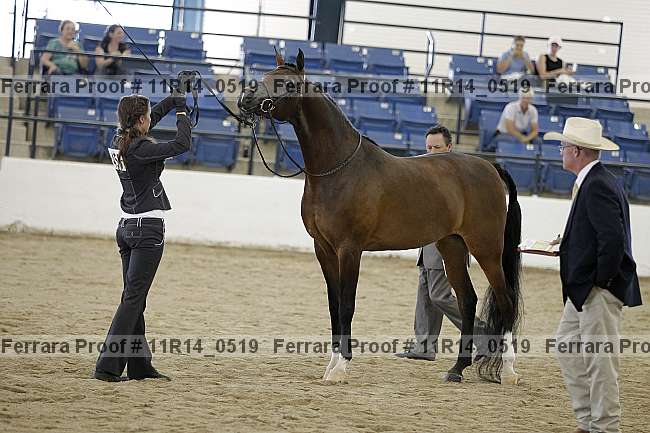 Proof 11r14_0519