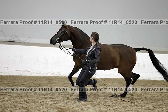 Proof 11r14_0520