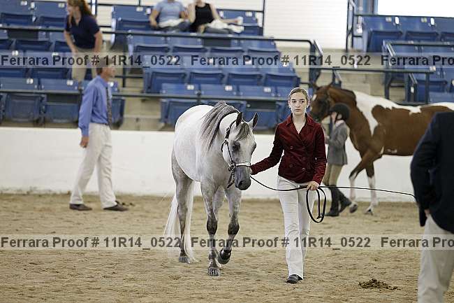 Proof 11r14_0522
