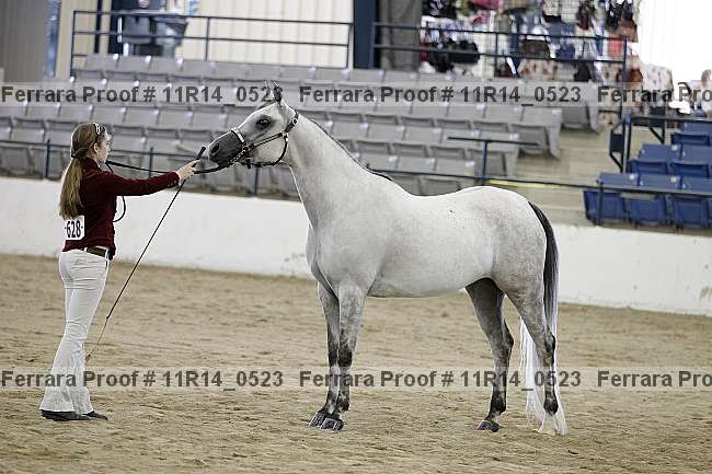 Proof 11r14_0523